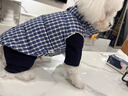 湯尼熊 TAWNEYBEAR狗狗衣服羽絨服馬甲秋冬外套寵物雪納瑞約克臘腸泰迪比熊博美柴犬 羽絨馬甲【藍色格紋】 L丨背長(cháng)33胸圍48建議8-14斤 曬單實(shí)拍圖