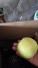 青蘋(píng)果新鮮綠蘋(píng)果酸脆甜多汁孕婦蘋(píng)果當季現摘水果綠蘋(píng)果農家 帶箱5斤凈重4.5斤(60-70mm) 曬單實(shí)拍圖