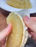 胖東來(lái)同款文旦浙江玉環(huán)正宗柚子白心當季孕婦蜜柚鮮果新鮮水果 9.5斤加箱【3個(gè)禮盒裝】45年老樹(shù)】爆丨款王 曬單實(shí)拍圖