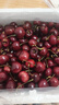 魯禧海岸車(chē)厘子 進(jìn)口水果 智利車(chē)厘子4J級多規格大櫻桃 水果禮盒 年貨節禮 4斤(凈重) 丨5斤家庭裝丨宴請賓客 大果 J 26-28mm丨嘗鮮推薦 曬單實(shí)拍圖
