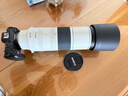 佳能（Canon）RF200-800mm F6.3-9 IS USM 遠攝變焦鏡頭 打鳥(niǎo)裝備 曬單實(shí)拍圖