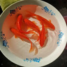 金魚(yú)草金魚(yú)觀(guān)賞魚(yú)冷水好養耐活小魚(yú)苗錦鯉 5-7cm 紅草金買(mǎi)1條送1條（加備損） 曬單實(shí)拍圖