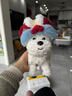 babycare電動(dòng)毛絨小狗寵物玩偶兒童新年禮物寶寶玩具-西高地+醒獅帽 曬單實(shí)拍圖