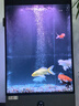 ds迪順新款一體式魚(yú)缸超白玻璃底濾金魚(yú)缸水族箱落地客廳家用魚(yú)缸 深灰色底濾（升級七色變光） 50*40*125cm 缸高70 底濾 曬單實(shí)拍圖