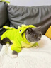 櫻源貓咪衣服牽引恐龍小貓衣服秋冬款戶(hù)外小狗狗衣服四腳冬季保暖衣服 綠色【恐龍】法蘭絨面料 S 【建議3-5斤 】 曬單實(shí)拍圖