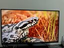 泰坦軍團 31.5英寸大屏 2304分區 MiniLED 4K 160Hz 雙模320Hz DyDs技術(shù) 廣色域專(zhuān)業(yè)電競顯示器 P326MV MAX 曬單實(shí)拍圖