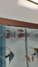 瘋狂水草米奇魚(yú)瑪麗活體胎生小型淡水觀(guān)賞魚(yú)水族箱熱帶耐活孔雀魚(yú)同款魚(yú)苗 【全家福 】胎生米奇魚(yú)共發(fā)12條 曬單實(shí)拍圖