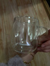 GLASSLOCK茶杯雙層玻璃杯家用水杯咖啡杯耐高溫泡茶杯辦公室高硼硅450ml 曬單實(shí)拍圖