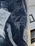 U.S. POLO ASSN.[100%棉]襯衫男長袖秋季商務休閑白色純棉襯衣男士外套高端上衣 曬單實拍圖