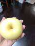 秦悅仙果鮮正宗山東黃金維納斯蘋(píng)果水果奶油新鮮整箱送禮品物盒年貨節 凈重4.5斤【單果160g+】丨很甜 【百里挑一】10年精選果 曬單實(shí)拍圖