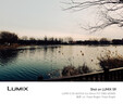 松下S9（20-60mm F3.5-5.6）（Panasonic）全畫(huà)幅微單 實(shí)時(shí)Lut 濾鏡直出 連接app極速分享 灰銀 曬單實(shí)拍圖
