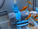 創(chuàng  )寧變頻潛水泵 CN-9500-25W 10檔流量調節 魚(yú)缸假山噴泉池循環(huán)抽水 曬單實(shí)拍圖