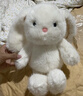 名創(chuàng  )優(yōu)品（MINISO）塔妮兔乖乖坐姿公仔毛絨玩具玩偶抱枕娃娃送女友告白生日禮物女 曬單實(shí)拍圖