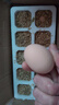 谷飼慢養農家新鮮雞蛋柴雞蛋鮮雞蛋 生鮮京東超市 五谷鮮雞蛋50g*10枚 曬單實(shí)拍圖