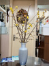 花翁鮮切花干枝年宵花卉水培植物 精選A級臘梅枝60cm5枝源頭直發(fā) 曬單實(shí)拍圖