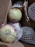 龍多鮮新疆冰糖心蘋(píng)果 丑蘋(píng)果 新鮮富士應季水果 節日送禮推薦 整箱5斤精選果徑75-95MM凈4.5斤 曬單實(shí)拍圖