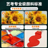 青竹畫(huà)材（CHINJOO）水粉顏料49色80ml水粉套裝工具集訓藝考級大規格美術(shù)生大師專(zhuān)用繪畫(huà)果凍大學(xué)生兒童美術(shù)寫(xiě)生套裝 曬單實(shí)拍圖
