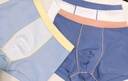蕉內355C兒童內褲男女童平角內褲棉感7A抗菌柔軟透氣舒適寶寶內衣3件 曬單實(shí)拍圖