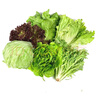 綠食者 沙拉蔬菜組合3.5斤 新鮮苦菊綠葉紅葉生菜西餐沙拉健康輕食蔬菜 蔬菜沙拉組合3.5斤【無(wú)沙拉醬】 曬單實(shí)拍圖