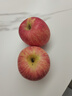 頂端果業(yè)洛川蘋(píng)果陜西紅富士冰糖心蘋(píng)果水果禮盒20個(gè)75甄選好果 20枚75mm紅富士蘋(píng)果禮盒 曬單實(shí)拍圖