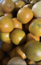 褚橙花斑果實(shí)建褚橙花斑果【旗艦直營(yíng)】云南哀牢山云冠橙新鮮水果禮盒 優(yōu)級10斤禮盒裝【果徑70mm左右】 曬單實(shí)拍圖