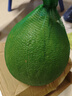 泰國生鮮金柚翡翠紅心柚子新鮮水果紅寶石蜜柚純甜水果蜜柚柚子 甄選大果2.2-2.8斤-1粒凈重 曬單實(shí)拍圖