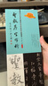 官方旗艦 王羲之圣教序字字析 黃文新著(zhù)碑帖筆法臨析毛筆書(shū)法臨摹軟筆筆法解析書(shū)法教程 天津人美 曬單實(shí)拍圖