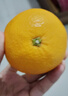 京覓江西贛南會(huì )昌桔柚9斤黃金貢柚 年貨甜橘子單果70mm+水果源頭直發(fā) 曬單實(shí)拍圖