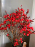 呆果丁澳洲臘梅鮮花水培鮮枝干枝室內插花年宵花卉植物過(guò)年真花蠟梅鮮切 紅色系【喜慶紅】 5A級澳洲臘梅-60-80cm3枝 曬單實(shí)拍圖