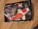 瘋狂水草（FKSC）錦鯉飼料5斤中顆粒四合一 魚(yú)糧錦鯉魚(yú)食專(zhuān)用飼料 通用型增色增體 曬單實(shí)拍圖