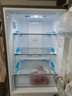 海爾冰箱202升雙門(mén)兩門(mén)食品級材質(zhì)黑金凈化抗菌三溫區風(fēng)冷無(wú)霜小型家用租房BCD-202WGHC290S9以舊換新 曬單實(shí)拍圖