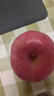 靜寧蘋(píng)果【送貨上門(mén)】甘肅紅富士蘋(píng)果水果新鮮時(shí)令應季現摘整箱孕婦水果 凈重6斤 80-85mm大果約12枚 曬單實(shí)拍圖