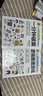 全腦開(kāi)發(fā)思維訓練書(shū)（2冊）一分鐘破案+邏輯推理游戲 兒童邏輯逆向思維推理漫畫(huà)書(shū) 兒童左右腦邏輯思維 智力開(kāi)發(fā)專(zhuān)注力訓練書(shū)籍 曬單實(shí)拍圖