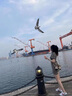 俞兆林短袖連衣裙2024年夏季新款格子裙休閑減齡百搭學(xué)生裙純欲百搭裙子 圖片色 L （建議105-125斤） 曬單實拍圖