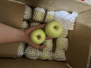 京地達山西青蘋(píng)果 凈重8.5斤單果100g起小蘋(píng)果酸甜源頭直發(fā)包郵 曬單實(shí)拍圖