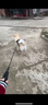 高悠派 狗狗牽引繩中大型犬背心式胸肩背帶拉布拉多狗繩寵物通用 曬單實(shí)拍圖