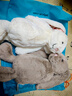 Jellycat害羞乳白色邦尼兔動(dòng)物毛絨玩偶安撫玩偶娃娃生日情人節禮物 花布乳白色邦尼兔（白芮） Medium 曬單實(shí)拍圖