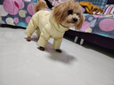 秋冬狗狗衣服棉衣中小大型犬保暖加厚寵物保暖反光防水寵物衣服 黃灰色 L（8-11斤） 束腳蓬松四腳狗狗棉衣防水 曬單實(shí)拍圖