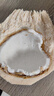 緯廷大盤(pán)子超大陶瓷家用深盤(pán)平果盤(pán)創(chuàng  )意14英寸特大號蒸魚(yú)剁椒魚(yú)頭圓盤(pán) 10英寸盤(pán)1個(gè) 曬單實(shí)拍圖