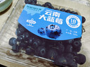 云南高山大藍莓500g 18mm 曬單實(shí)拍圖