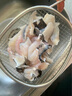免漿黑魚(yú)片500g/袋 免洗冷凍半成品餐飲商用酸菜魚(yú)水煮魚(yú)火鍋店 免漿黑魚(yú)片500克/袋 免切免洗 曬單實(shí)拍圖