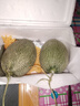 倪府莊園新疆哈密瓜 脆甜哈密瓜 網(wǎng)紋甜瓜 應季生鮮水果 2個(gè)【6-8斤】 曬單實(shí)拍圖
