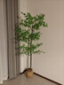 雙盟南天竹仿真大型綠植盆栽室內仿生假花樹(shù)擺件裝飾品1.6米 曬單實(shí)拍圖