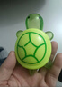 巨無(wú)霸夜光烏龜迷你網(wǎng)紅小烏龜對對碰玩具大號全嬋同紅款擺件女孩 巨無(wú)霸17cm綠色烏龜 +10個(gè)小烏龜 曬單實(shí)拍圖