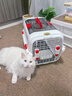 嬉皮狗（hipidog）航空箱貓咪全景天窗撞色外出托運車(chē)載籠子狗狗寵物便攜太空艙貓包 彌雅白-中號帶天窗-15斤內貓犬 貓犬通用 曬單實(shí)拍圖