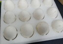 【中豐園】新鮮鵝蛋農村2年老鵝孕婦寶寶現撿現發(fā)新年禮盒 12枚散養鵝蛋禮盒裝笨鵝蛋（125-140克/枚） 曬單實(shí)拍圖