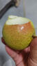 南步北京平谷紅肖梨 老品種紅沙梨火把梨脆甜酸紅消梨可煮水新鮮水果 3斤 精選大果【單果145g+】 曬單實(shí)拍圖