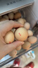 京鮮生 無(wú)抗保潔鮮雞蛋30枚/盒 健康輕食 禮盒送禮 1.5kg/盒 源頭直發(fā) 曬單實(shí)拍圖