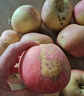 京滿(mǎn)福正宗新疆天然冰糖心蘋(píng)果 新鮮時(shí)令水果 整箱脆甜紅富士丑蘋(píng)果 整箱10斤 單果75-95mm 凈重8.5斤 曬單實(shí)拍圖