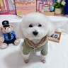 嬉皮狗（hipidog）狗狗衣服加厚絎棉口袋牽引四腳棉衣小型幼犬雪納瑞西高地寵物衣服 蒂安綠 M （建議體重5-8斤） 曬單實(shí)拍圖